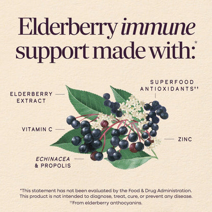 Nature's Way Sambucus Holunderbeeren-Sirup mit Vitamin C, Zink, Echinacea und Propolis – Immununterstützung, 240 ml (8 Fl Oz)