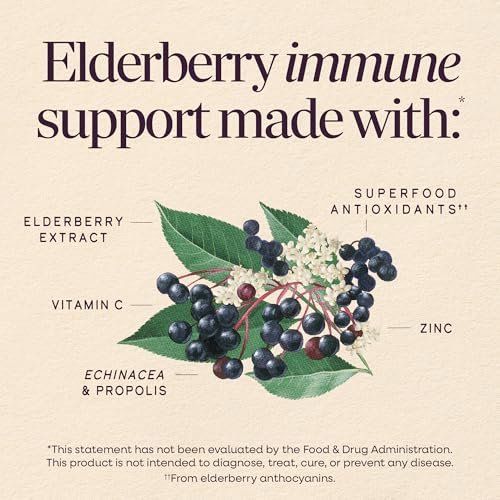Nature's Way Sambucus Holunderbeeren-Sirup mit Vitamin C, Zink, Echinacea und Propolis – Immununterstützung, 240 ml (8 Fl Oz)