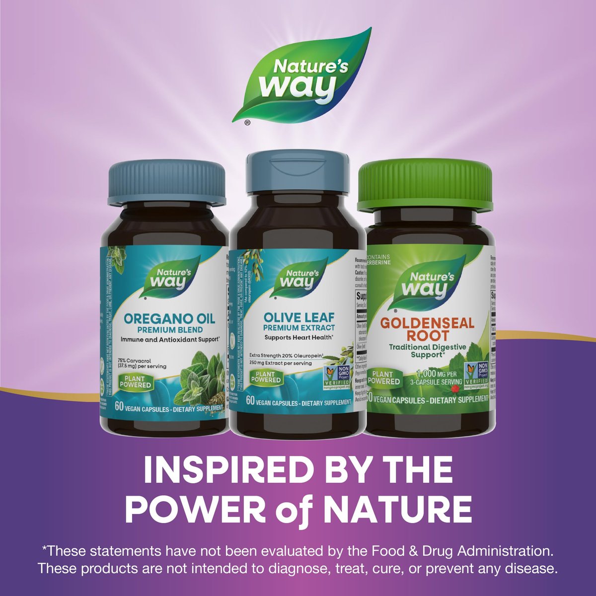 Nature's Way Olivenblatt Premium Extrakt – 20 % Oleuropein, unterstützt die Herzgesundheit*, 250 mg pro Portion, Non-GMO Project verifiziert, 60 vegane Kapseln