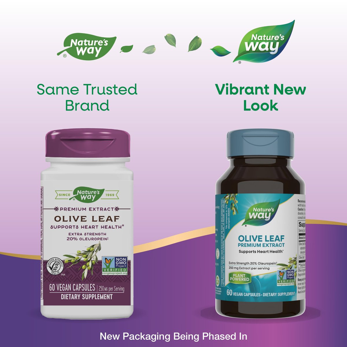 Nature's Way Olivenblatt Premium Extrakt – 20 % Oleuropein, unterstützt die Herzgesundheit*, 250 mg pro Portion, Non-GMO Project verifiziert, 60 vegane Kapseln