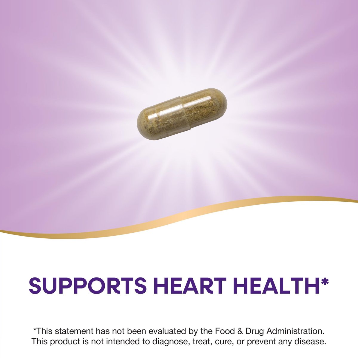 Nature's Way Olivenblatt Premium Extrakt – 20 % Oleuropein, unterstützt die Herzgesundheit*, 250 mg pro Portion, Non-GMO Project verifiziert, 60 vegane Kapseln