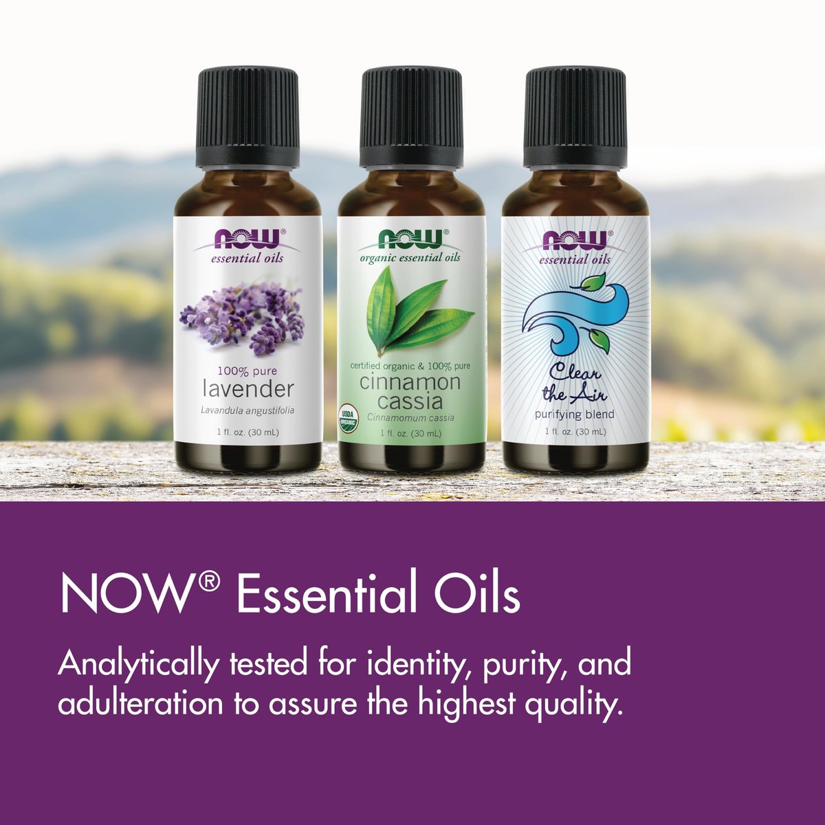 NOW Foods Bio-Öl, Nelkenöl, ausgleichender Aromatherapie-Duft, dampfdestilliert, 100 % rein, vegan, kindersicherer Verschluss, 30 ml