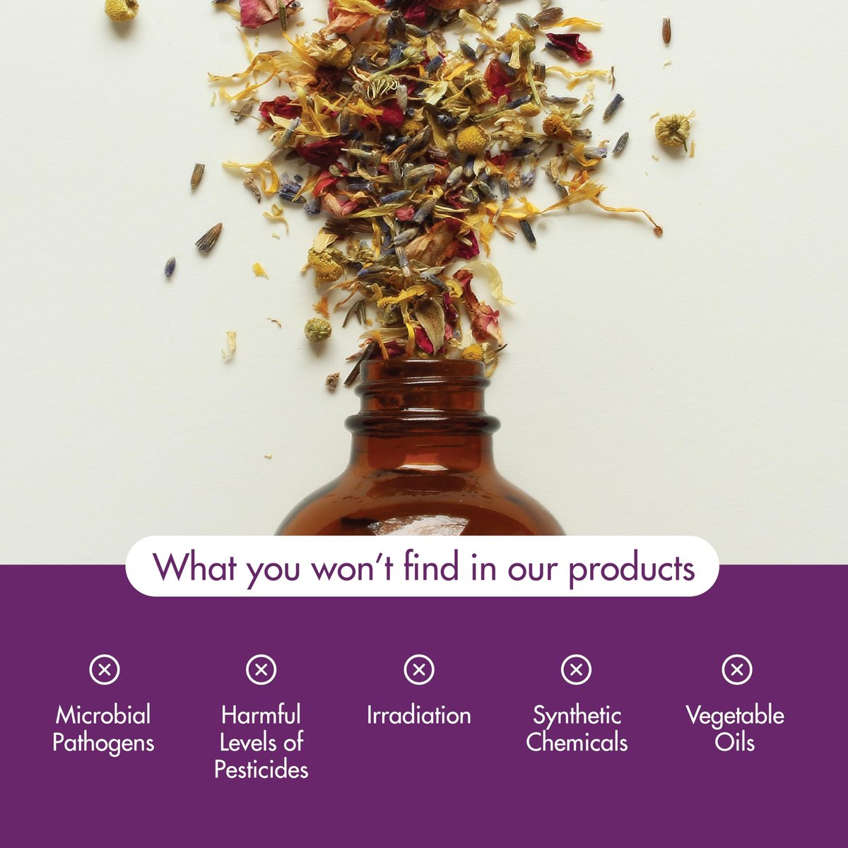NOW Foods Bio-Öl, Nelkenöl, ausgleichender Aromatherapie-Duft, dampfdestilliert, 100 % rein, vegan, kindersicherer Verschluss, 30 ml