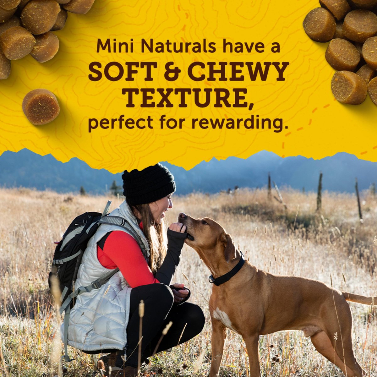 Zuke's Mini Naturals Hunde-Leckerli Erdnussbutter 1lb