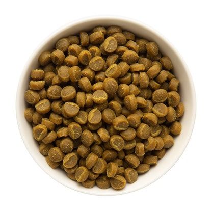 Zuke’s Mini Naturals Hundetrainingsleckerlis für Hunde aller Größen – mit echtem Lachs, 454 g (16 oz) nachfüllbarer Beutel