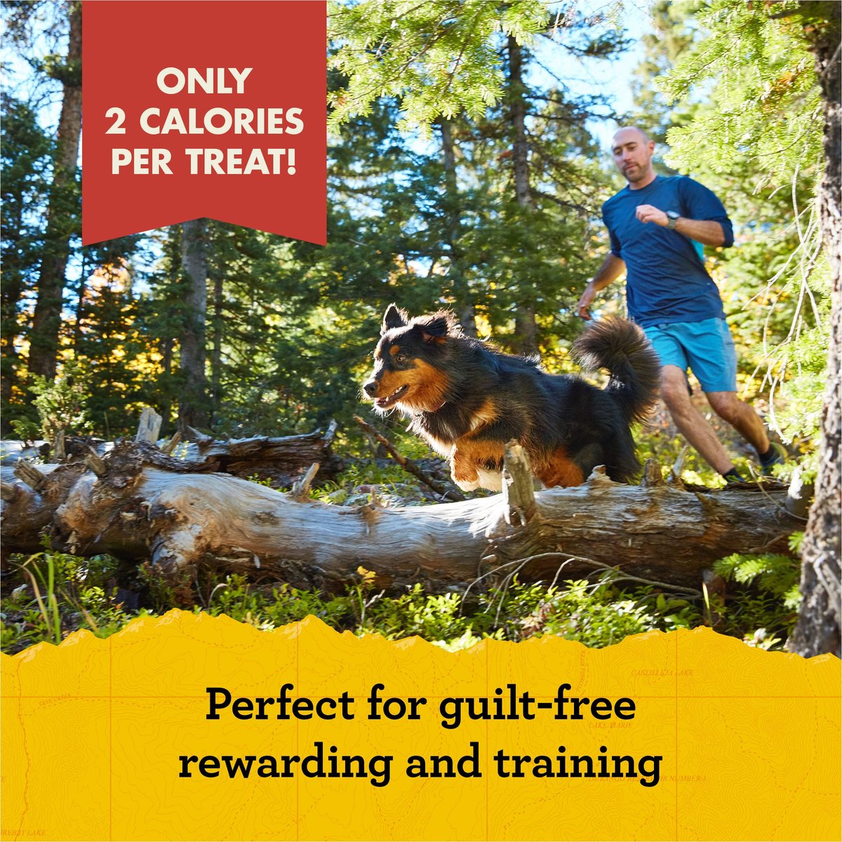 Zuke’s Mini Naturals Hundetrainingsleckerlis für Hunde aller Größen – mit echtem Lachs, 454 g (16 oz) nachfüllbarer Beutel