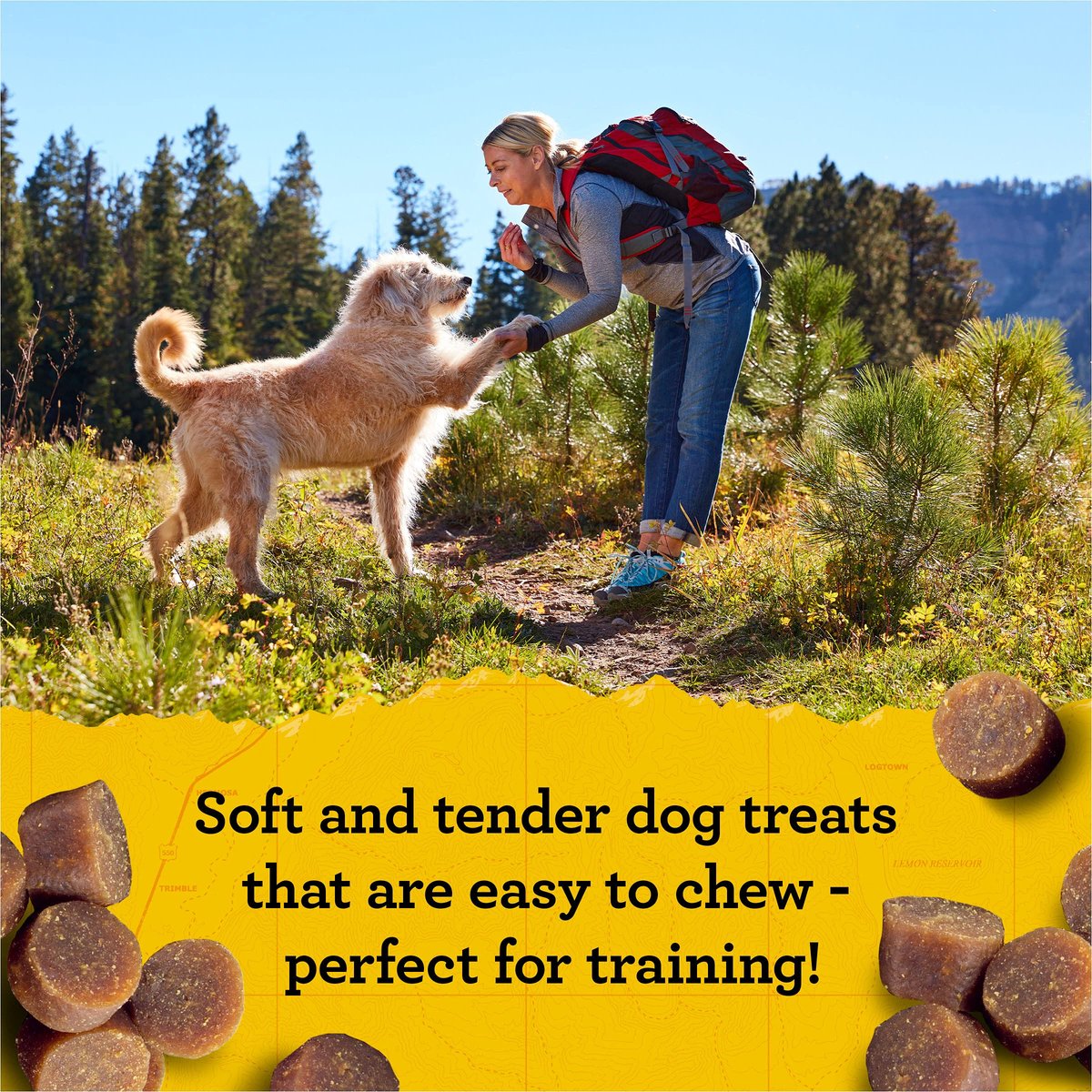 Zuke’s Mini Naturals Hundetrainingsleckerlis für Hunde aller Größen – mit echtem Lachs, 454 g (16 oz) nachfüllbarer Beutel