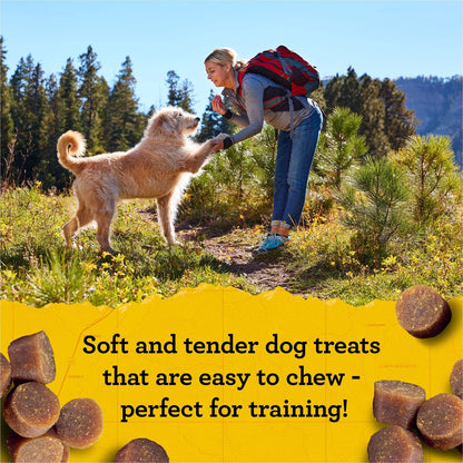 Zuke’s Mini Naturals Hundetrainingsleckerlis für Hunde aller Größen – mit echtem Lachs, 454 g (16 oz) nachfüllbarer Beutel