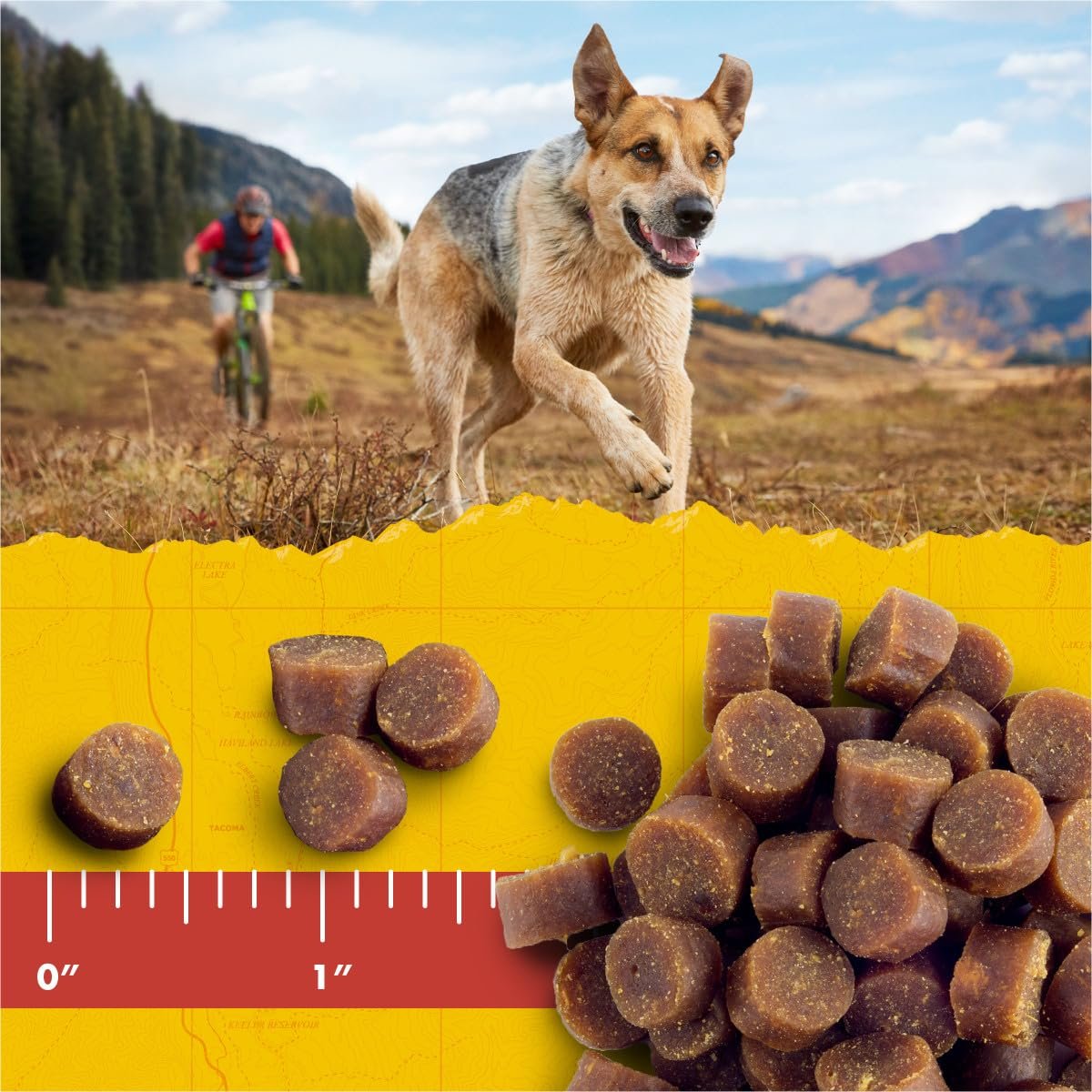 Zuke’s Mini Naturals Hundetrainingsleckerlis für Hunde aller Größen – mit echtem Lachs, 454 g (16 oz) nachfüllbarer Beutel