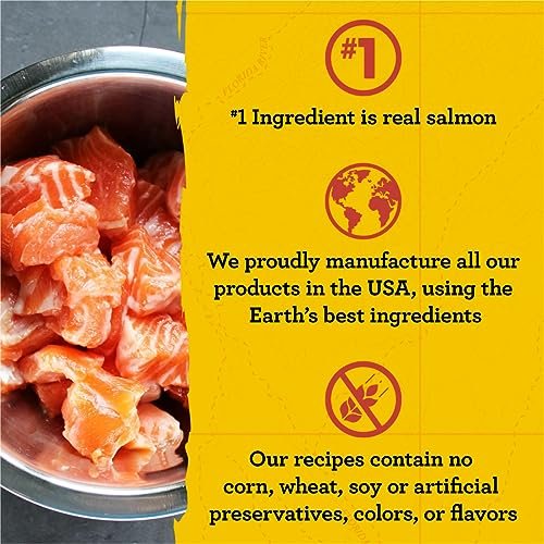 Zuke’s Mini Naturals Hundetrainingsleckerlis für Hunde aller Größen – mit echtem Lachs, 454 g (16 oz) nachfüllbarer Beutel