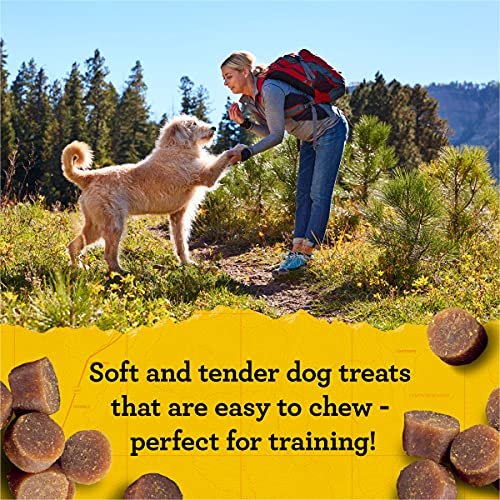Zuke’s Mini Naturals Hundetrainingsleckerlis für Hunde aller Größen – mit echtem Lachs, 454 g (16 oz) nachfüllbarer Beutel