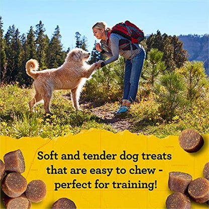Zuke’s Mini Naturals Hundetrainingsleckerlis für Hunde aller Größen – mit echtem Lachs, 454 g (16 oz) nachfüllbarer Beutel