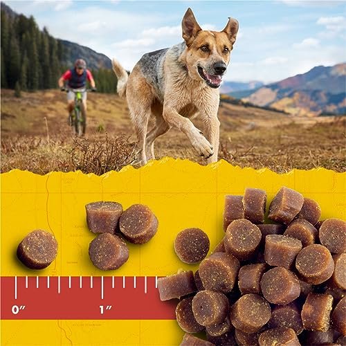 Zuke’s Mini Naturals Hundetrainingsleckerlis für Hunde aller Größen – mit echtem Lachs, 454 g (16 oz) nachfüllbarer Beutel