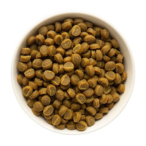Zuke’s Mini Naturals Hundetrainingsleckerlis für Hunde aller Größen – mit echtem Lachs, 454 g (16 oz) nachfüllbarer Beutel