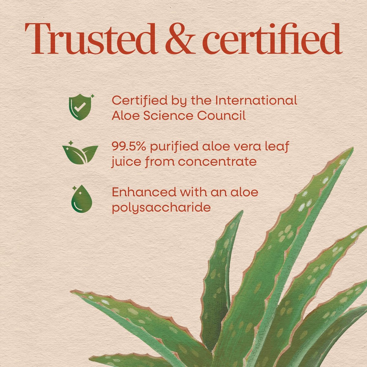 Nature's Way Aloe Vera Blattsaft, geschmacksneutral, 99,5 % gereinigt aus Konzentrat, zertifiziert durch das International Aloe Science Council, ungesüßt, 1 Liter