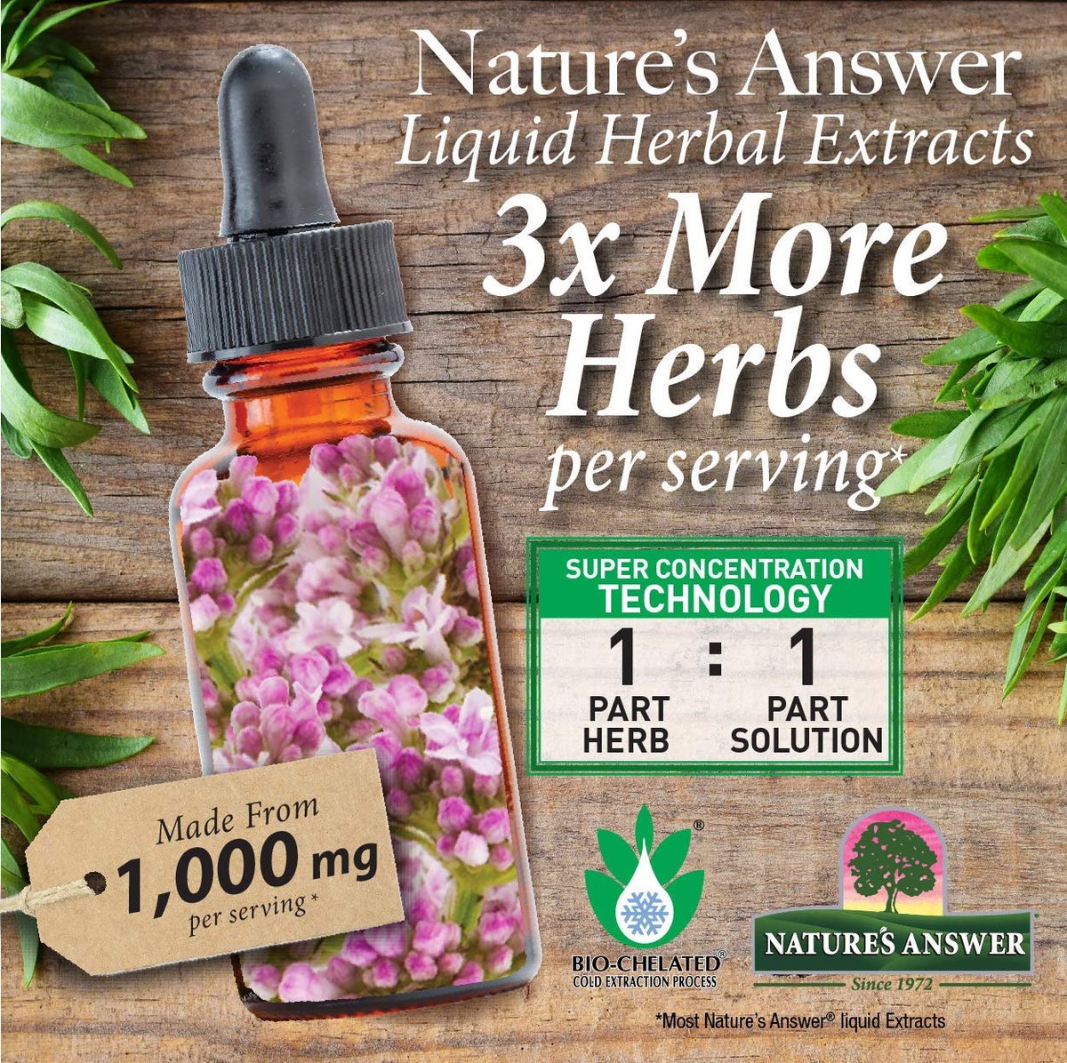 Nature's Answer Schisandra Beeren Extrakt - Alkoholfrei, Glutenfrei - Unterstützung bei Stress, Müdigkeit und Entspannung - Hergestellt in den USA - Nahrungsergänzungsmittel für die Nebennieren