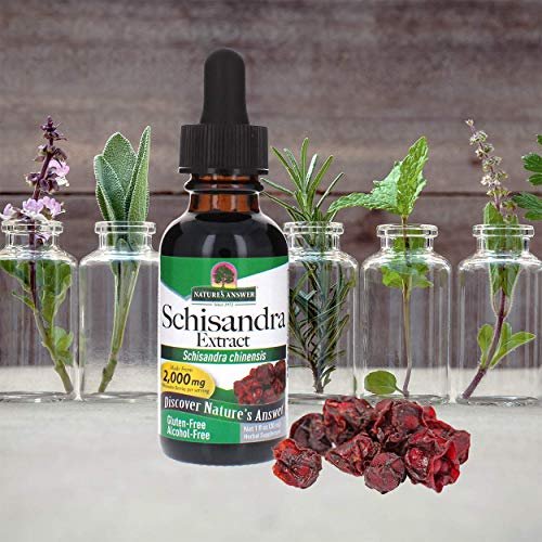 Nature's Answer Schisandra Beeren Extrakt - Alkoholfrei, Glutenfrei - Unterstützung bei Stress, Müdigkeit und Entspannung - Hergestellt in den USA - Nahrungsergänzungsmittel für die Nebennieren