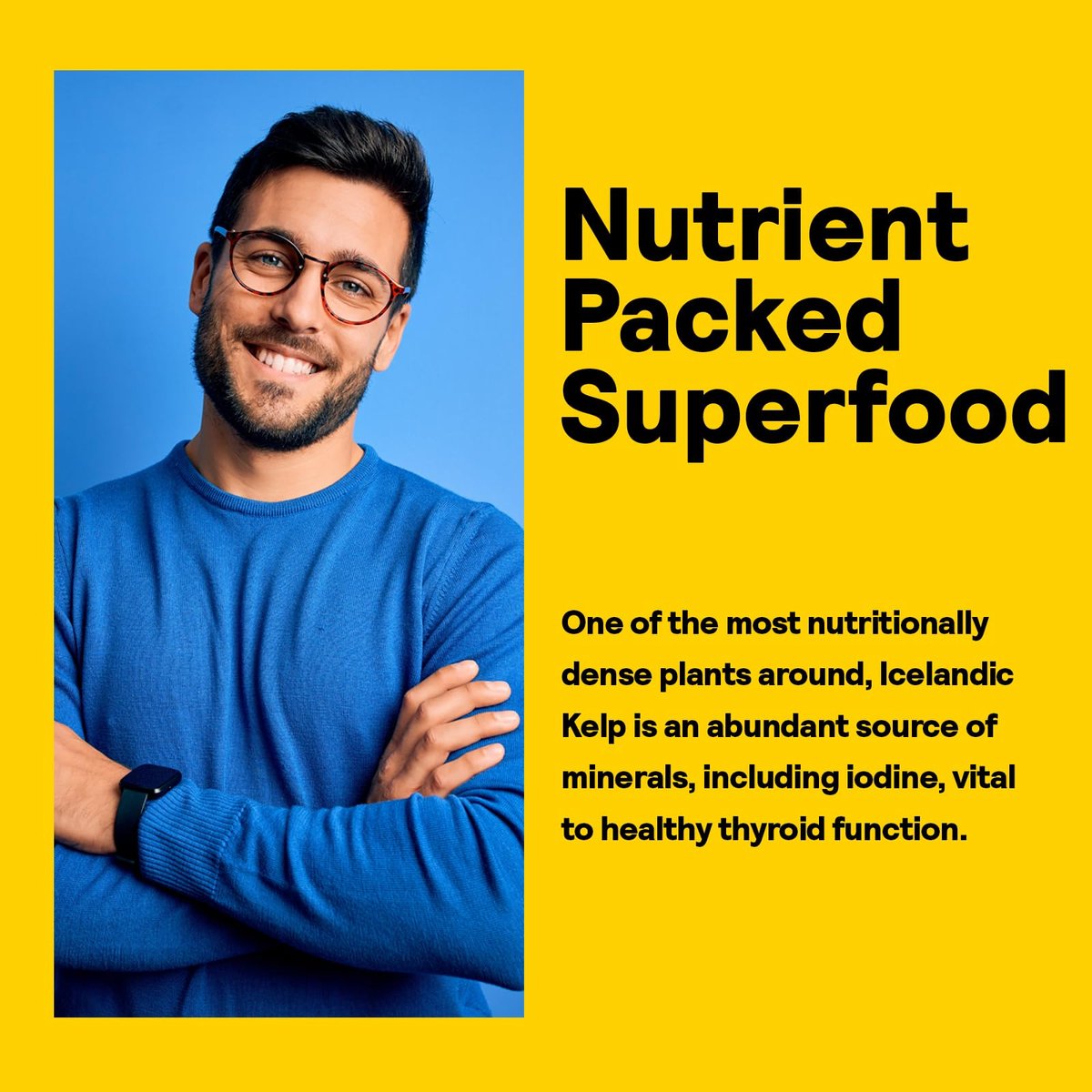 Nature’s Life Isländischer Seetang 41 mg – Jodtabletten, Seetang Nahrungsergänzungsmittel zur Unterstützung der Schilddrüse, natürlich, glutenfrei, nicht-GVO, grünes Superfood, 225 mcg Jod – 500 Tabletten (500 Portionen)