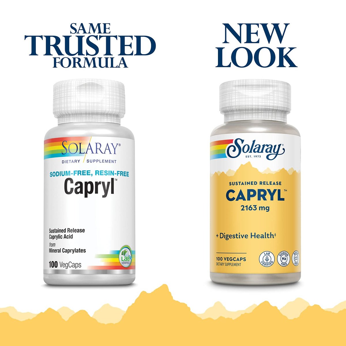 SOLARAY Capryl | Caprylsäure mit verzögerter Freisetzung | Unterstützt einen gesunden Magen-Darm-Trakt | 16 Portionen | 100 VegCaps