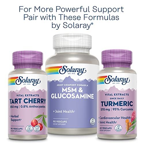 Solaray Sellerie-Samen 505mg, 100 vegane Kapseln – Hochwertiges Kräuterergänzungsmittel