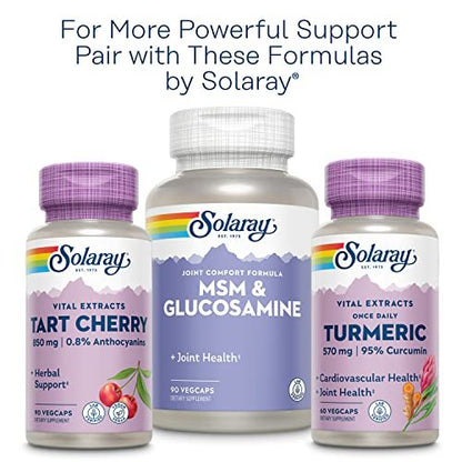 Solaray Sellerie-Samen 505mg, 100 vegane Kapseln – Hochwertiges Kräuterergänzungsmittel