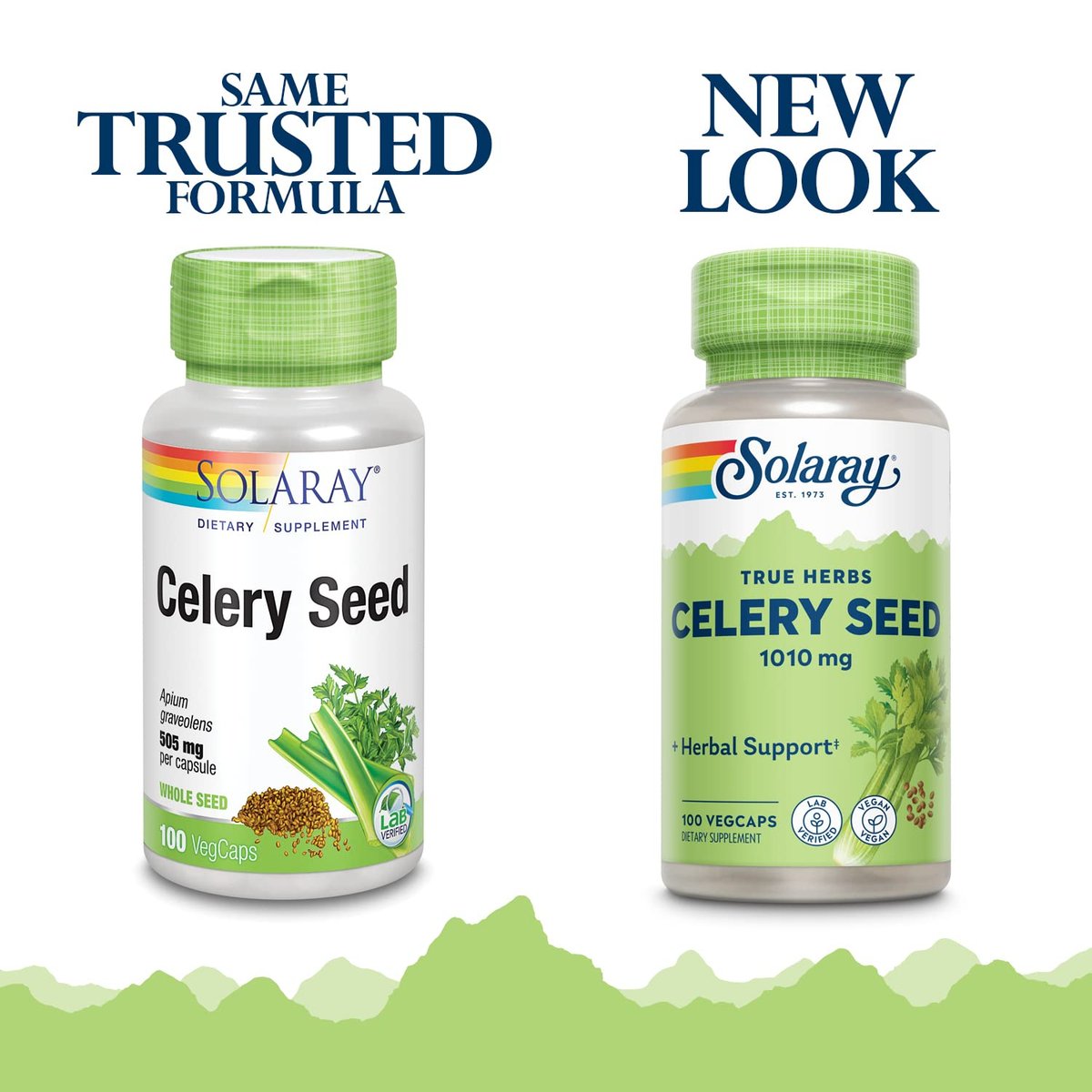 Solaray Sellerie-Samen 505mg, 100 vegane Kapseln – Hochwertiges Kräuterergänzungsmittel