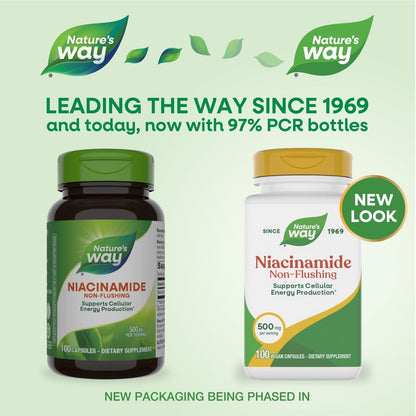 Nature's Way Niacinamid – Unterstützt die Zellenergie*, 500 mg pro Portion, 100 Kapseln