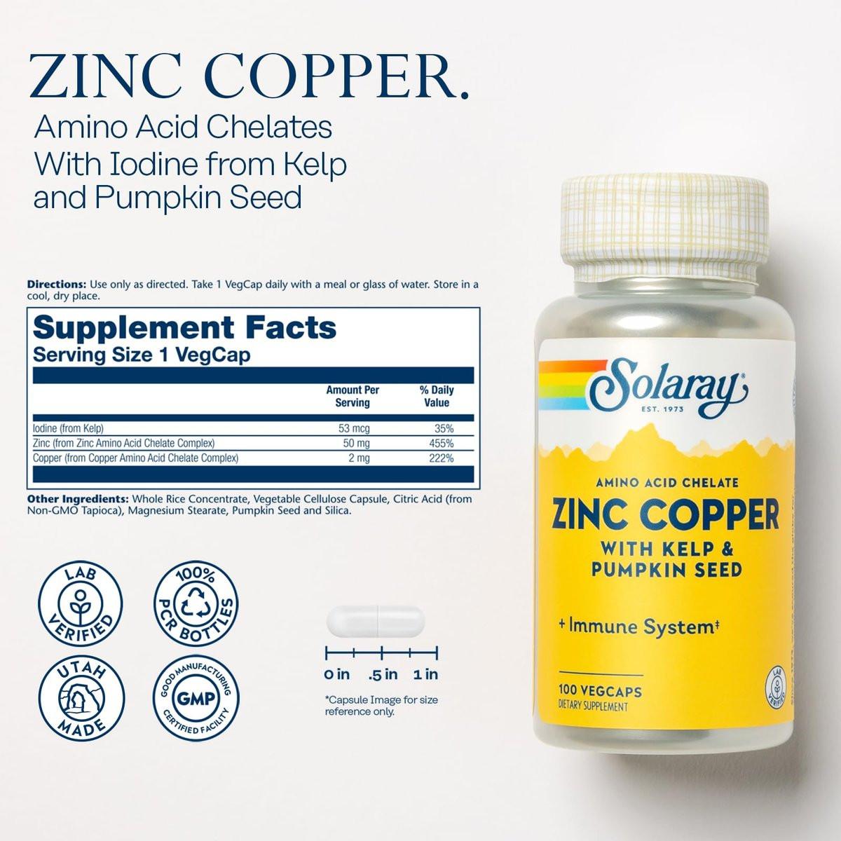 SOLARAY Zink-Kupfer-Aminosäurechelat – Immununterstützung mit cheliertem Zink 50 mg – Knochen-, Haut-, Herz- und Schilddrüsengesundheit – mit Jod aus Kelp, 60-Tage-Garantie, 100 Portionen, 100 vegane Kapseln