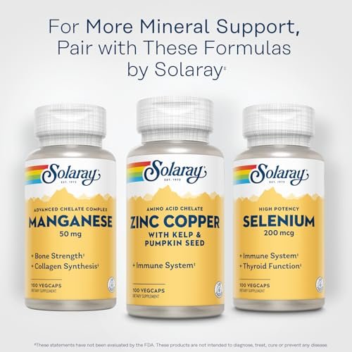 Solaray Melissenblatt 475 mg – Natürliches pflanzliches Nahrungsergänzungsmittel für Erwachsene und Kinder, Non-GMO, laborgeprüft – 100 vegane Kapseln