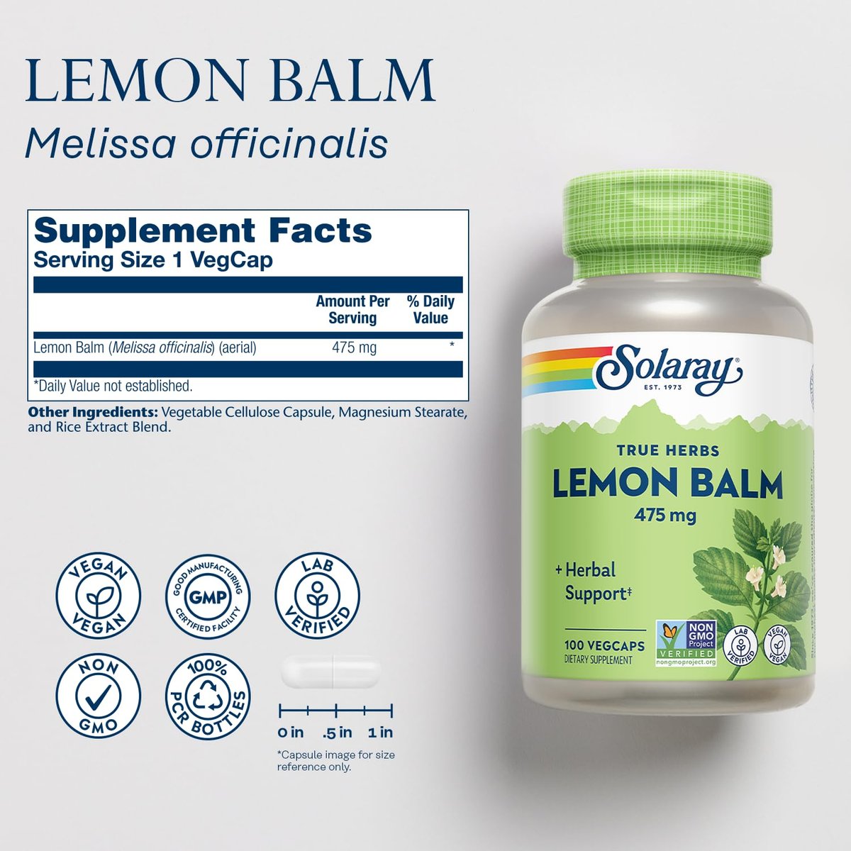 Solaray Melissenblatt 475 mg – Natürliches pflanzliches Nahrungsergänzungsmittel für Erwachsene und Kinder, Non-GMO, laborgeprüft – 100 vegane Kapseln