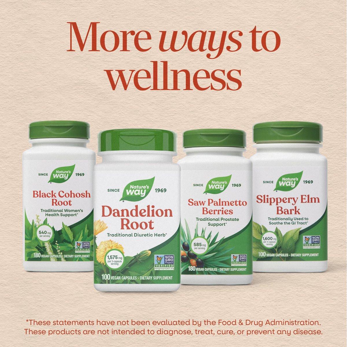 Nature's Way Löwenzahnwurzel Kapseln, traditionelles harntreibendes Kraut, 1.575 mg Löwenzahnwurzel pro 3-Kapsel-Portion, veganes Löwenzahnwurzel-Präparat, Non-GMO Project verifiziert, 100 Kapseln