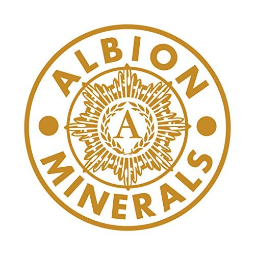Bluebonnet Nutrition Albion Chelatiertes Zink – Für Immunsystem & Enzymfunktion – Sojafrei, Glutenfrei, Nicht-GVO, Koscher, Laktosefrei, Vegan – 90 pflanzliche Kapseln