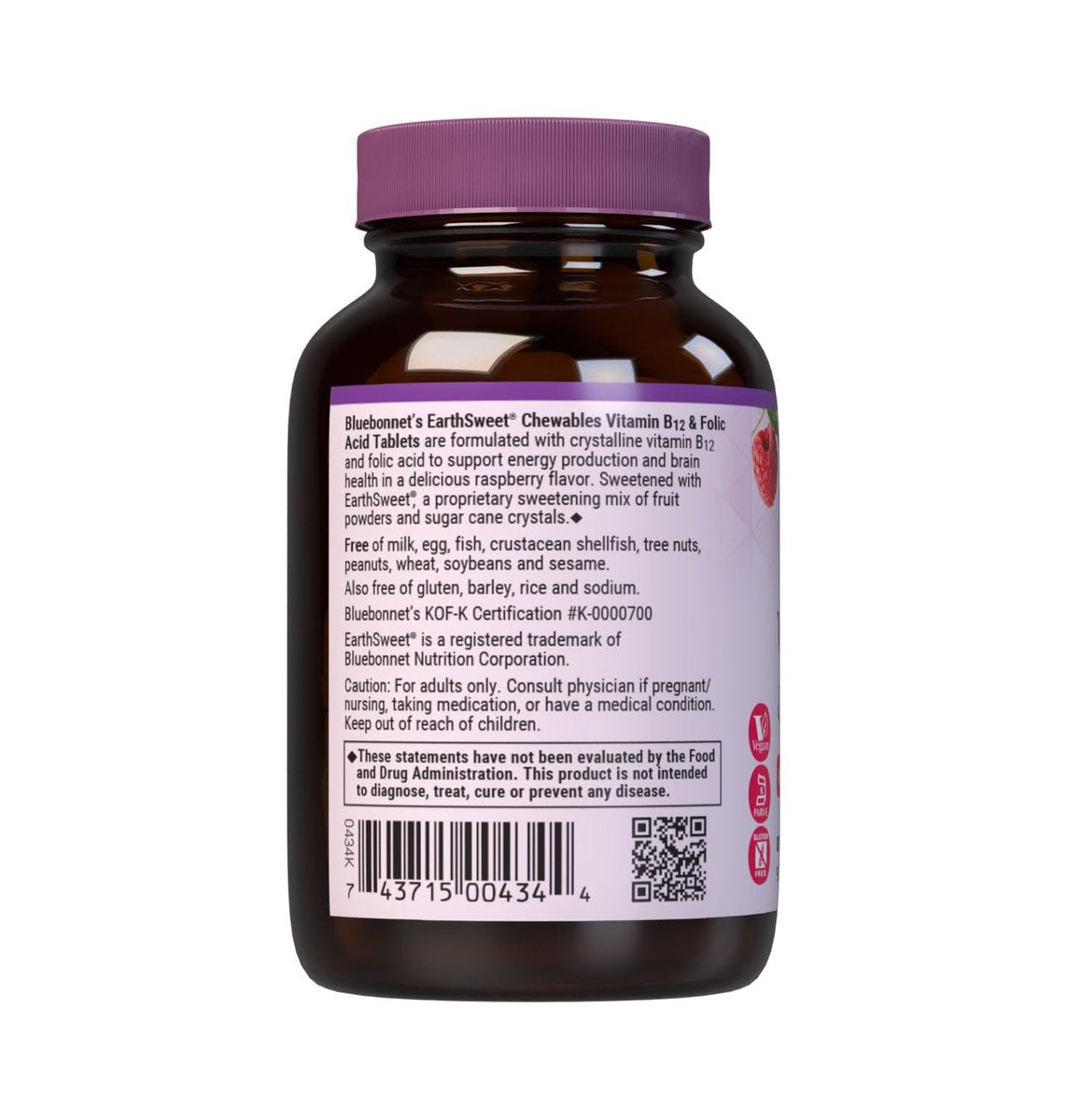 Bluebonnet Nutrition Earth Sweet Vitamin B12 & Folsäure Kautabletten, Sojafrei, Glutenfrei, Himbeere, 90 Tabletten (1 Packung)