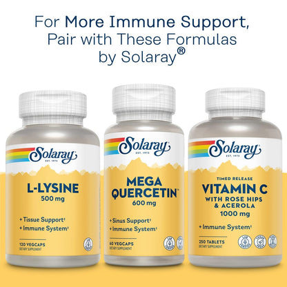 Solaray Bio Zinc 15 mg | Triple-Zink-Komplex für gesundes Immunsystem, endokrine & Zellfunktion | 100 VegKapseln