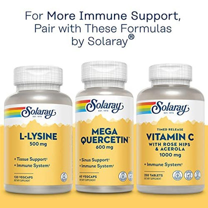 Solaray Bio Zinc 15 mg | Triple-Zink-Komplex für gesundes Immunsystem, endokrine & Zellfunktion | 100 VegKapseln