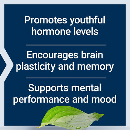 Life Extension Pregnenolon 100 mg – Hormonhaushalt, Gedächtnis, Fokus & kognitive Gesundheit – 100 Kapseln, glutenfrei, nicht-GVO
