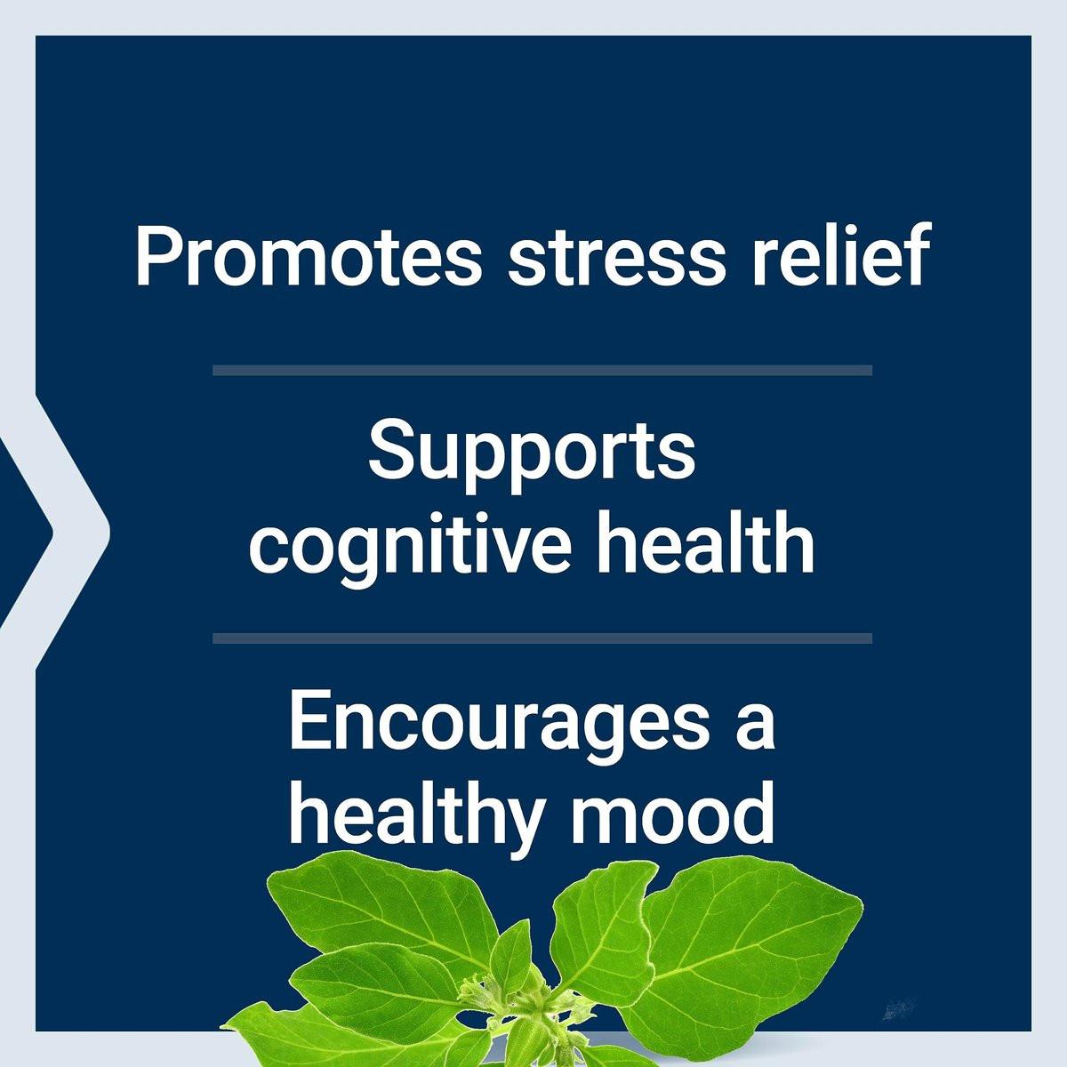 Life Extension Optimiertes Ashwagandha – Stressmanagement, gesunde Stressantwort, Fokus, Gedächtnis, vegetarisch, glutenfrei, nicht-GVO, 60 Kapseln