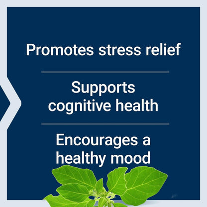 Life Extension Optimiertes Ashwagandha – Stressmanagement, gesunde Stressantwort, Fokus, Gedächtnis, vegetarisch, glutenfrei, nicht-GVO, 60 Kapseln