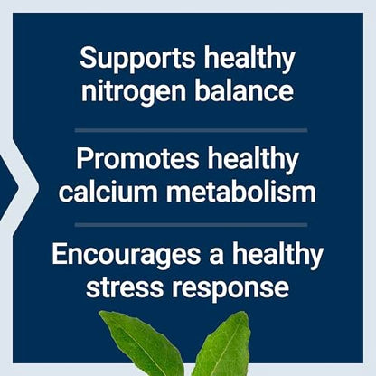 Life Extension L-Lysin, 620 mg, essentielle Aminosäure für gesunden Stickstoffhaushalt, Kalziumstoffwechsel, Stressreaktion & mehr, glutenfrei, nicht-GVO, vegetarisch, 100 Kapseln
