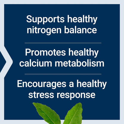 Life Extension L-Lysin, 620 mg, essentielle Aminosäure für gesunden Stickstoffhaushalt, Kalziumstoffwechsel, Stressreaktion & mehr, glutenfrei, nicht-GVO, vegetarisch, 100 Kapseln