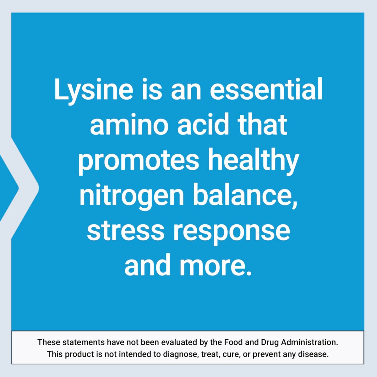 Life Extension L-Lysin, 620 mg, essentielle Aminosäure für gesunden Stickstoffhaushalt, Kalziumstoffwechsel, Stressreaktion & mehr, glutenfrei, nicht-GVO, vegetarisch, 100 Kapseln
