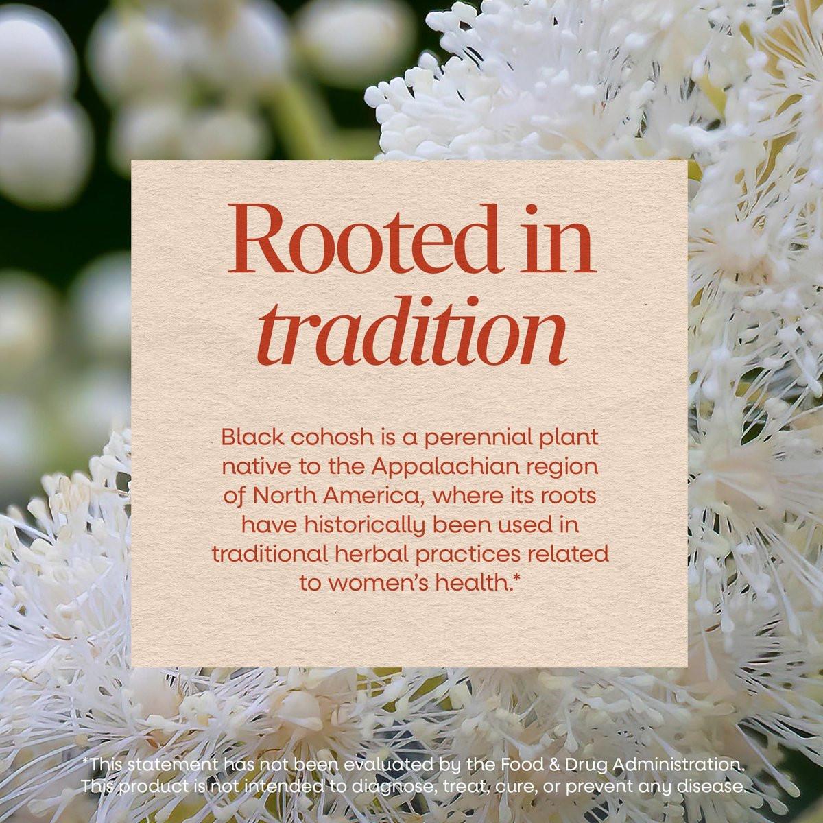 Nature's Way Black Cohosh Wurzel Kapseln – Traditionelles pflanzliches Nahrungsergänzungsmittel für Frauen, Cimicifuga Racemosa Wurzel, Non-GMO Project verifiziert, vegan, 100 Kapseln