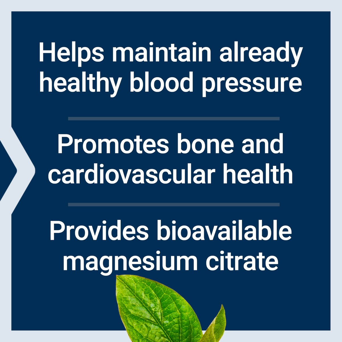 Life Extension Magnesium Citrat 100 mg – 100 vegane Kapseln, Mineralstoffergänzung
