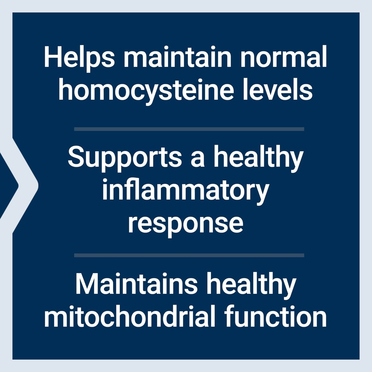 Life Extension TMG Pulver – Trimethylglycin – Unterstützt normale Homocysteinspiegel, Herzgesundheit – Glutenfrei, Nicht-GVO, Vegetarisch – Netto 50 g