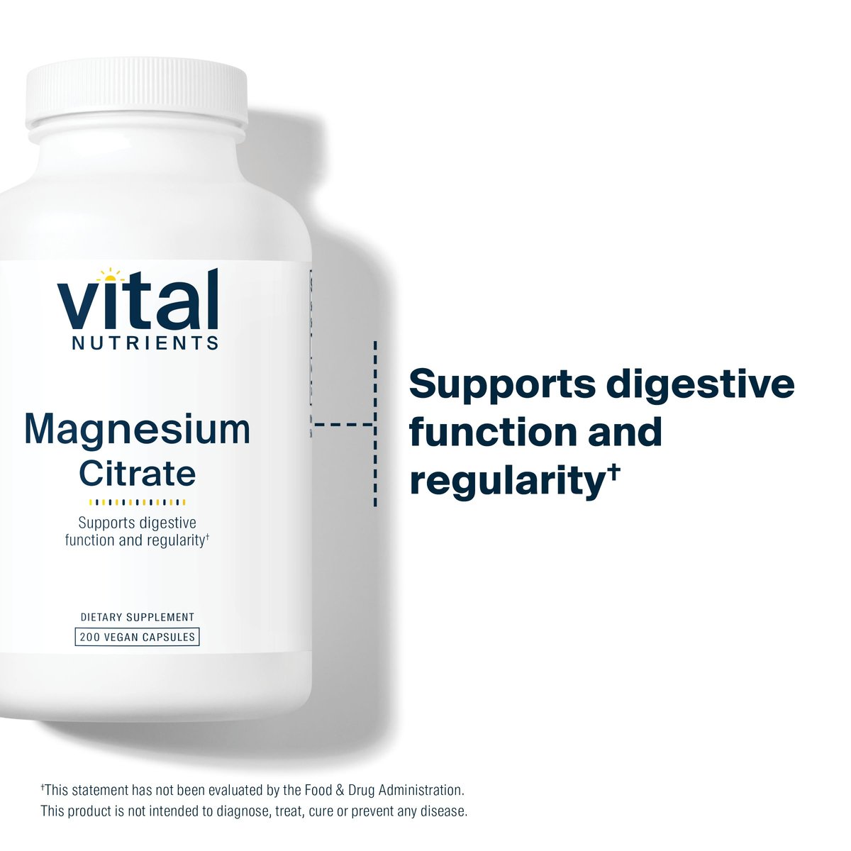 Vital Nutrients Vitamin B-Komplex - Vegane hochdosierte methylierte B-Vitamine für Energieproduktion, Stoffwechsel und Herzgesundheit - gluten-, milch- und sojafrei - 60 Kapseln