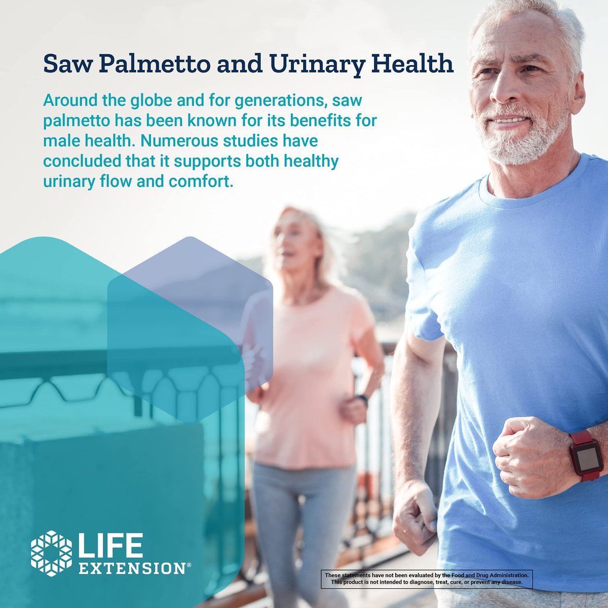 Life Extension PalmettoGuard Sägepalmen- & Beta-Sitosterol-Kapseln – Unterstützt gesunde Prostatagesundheit & Hormonstoffwechsel – Nahrungsergänzung für Männer – Glutenfrei, Nicht-GVO – 30 Softgels