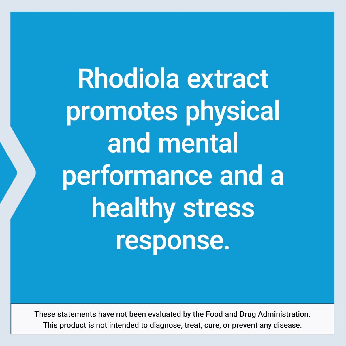 Life Extension Rhodiola Extrakt – Rhodiola rosea Supplement mit standardisiertem Extrakt – Fördert körperliche und geistige Leistungsfähigkeit – Glutenfrei, Nicht-GVO, Vegetarisch – 250 mg, 60 Kapseln