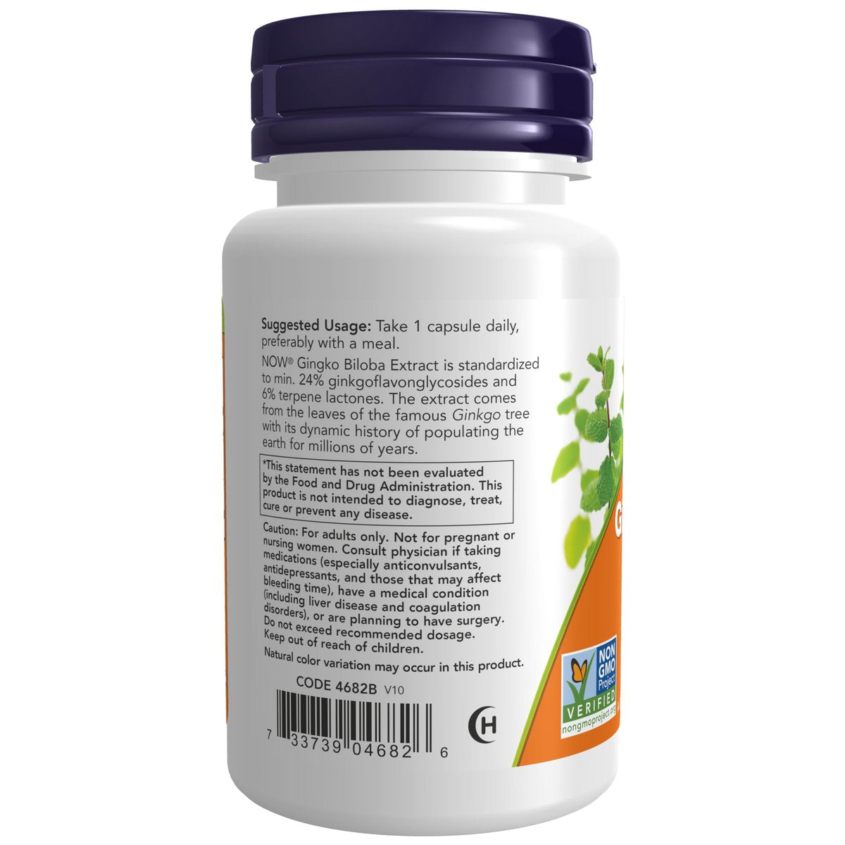 NOW Foods Ginkgo Biloba 120 mg, Doppelte Stärke, Non-GMO Project Verified, 50 Vegane Kapseln