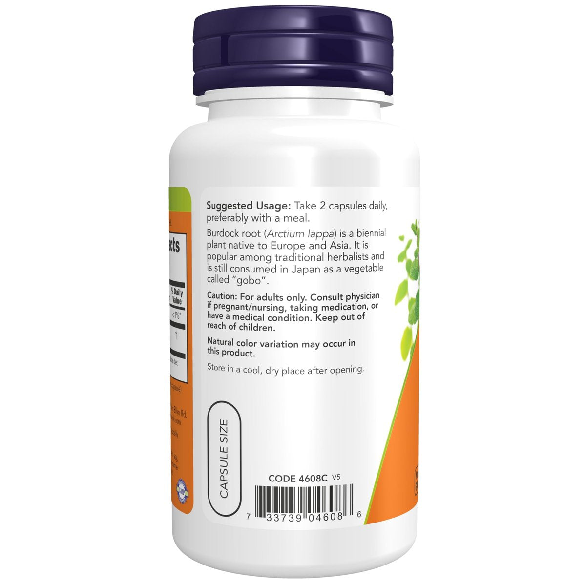 NOW Foods Klettenwurzel (Arctium lappa) 430 mg, Kräuterergänzung, 100 vegane Kapseln