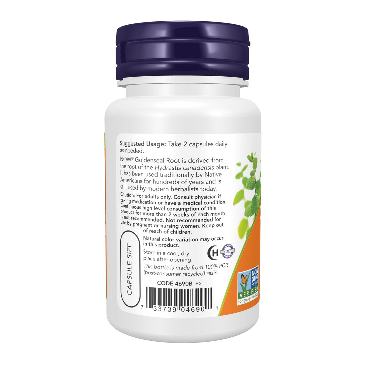NOW Foods Goldenseal Wurzel (Hydrastis canadensis) 500 mg, pflanzliches Nahrungsergänzungsmittel, 50 vegane Kapseln